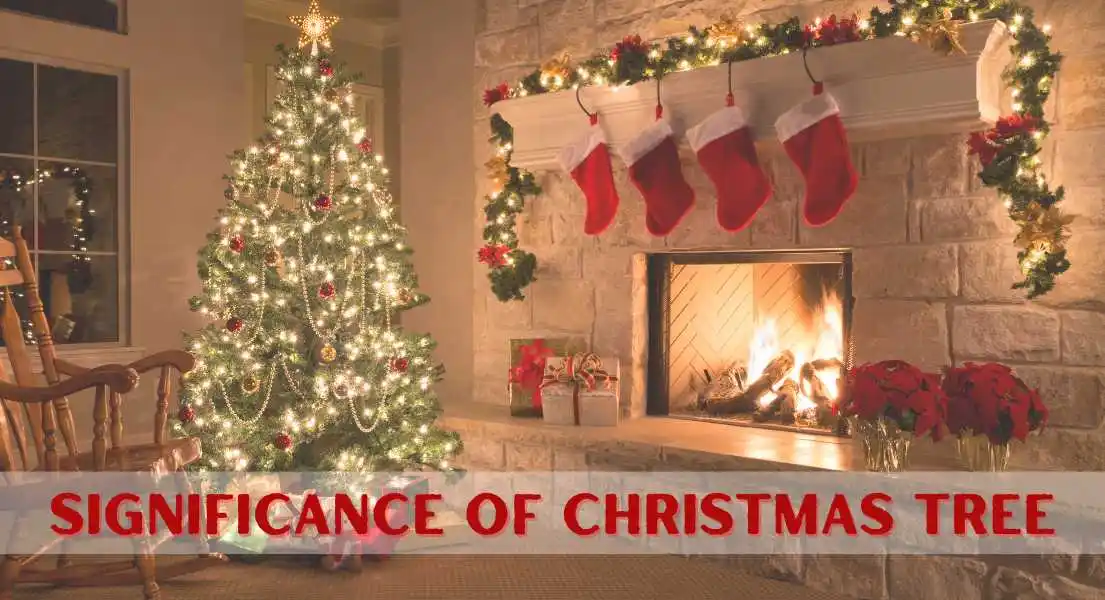 The Deep Significance Of Christmas Tree