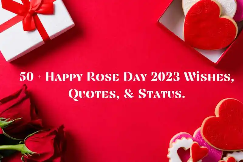 50+ Happy Rose Day Wishes, Quotes & Status 2023