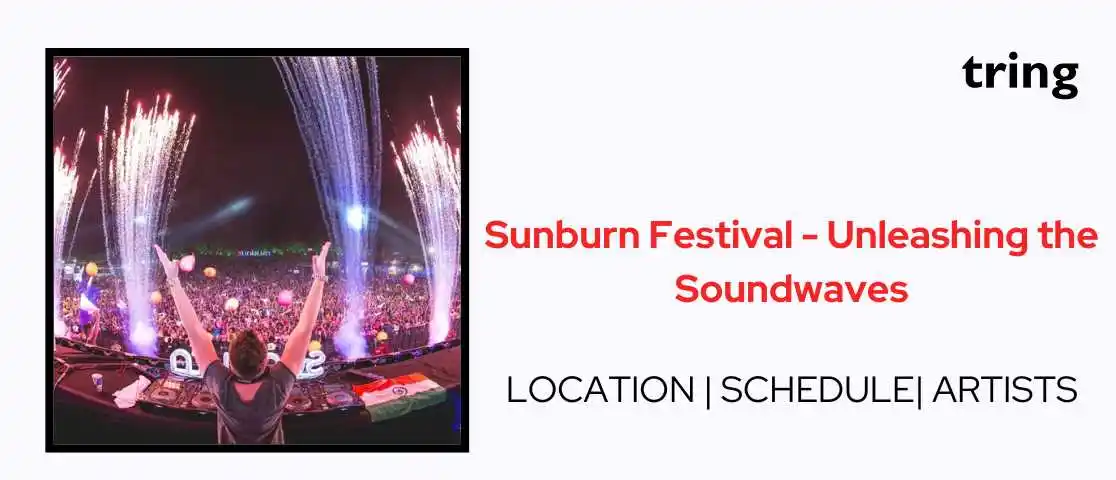 Sunburn Festival Borris Barejcha Tring