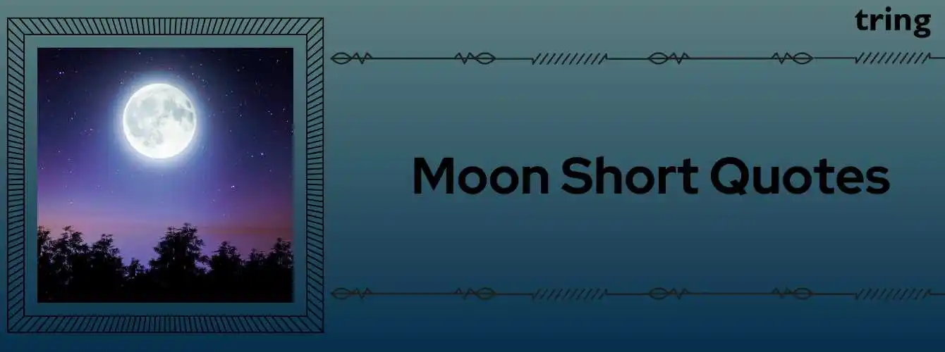 Moon Short Quotes