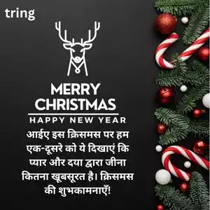christmas wishes in hindi (8).jpg