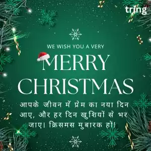 christmas wishes in hindi (10).jpg
