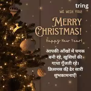 christmas wishes in hindi (5).jpg