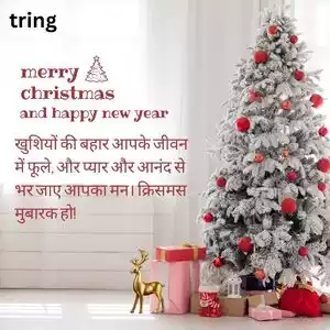 christmas wishes in hindi (7).jpg