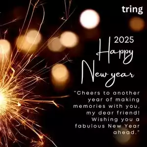 happy new year quotes for friends (4).jpg