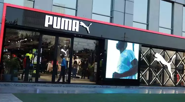 puma.jpg