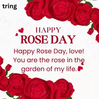 rose day wishes for husband (1).jpg rose day wishes for husband (1).jpg