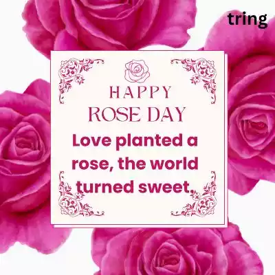 rose day caption (4).jpg