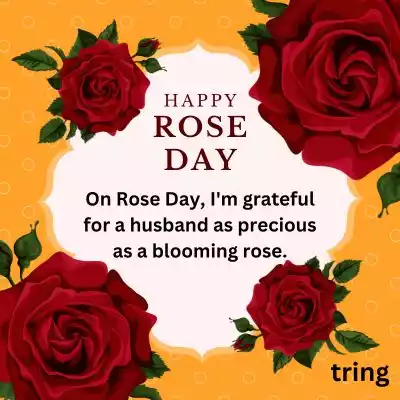 rose day wishes for husband (2).jpg rose day wishes for husband (2).jpg