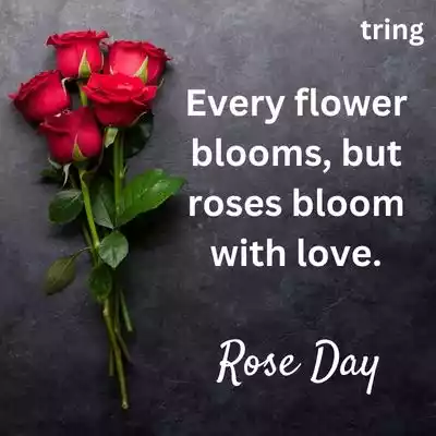 rose day caption (5).jpg