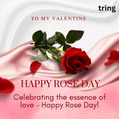rose day caption (6).jpg