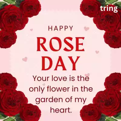 rose day caption (1).jpg