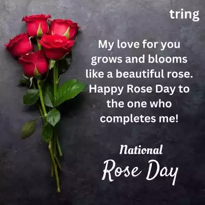 rose day wishes for husband (4).jpg rose day wishes for husband (4).jpg