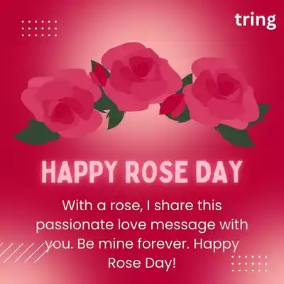 rose day wishes for boyfriend (4).jpg
