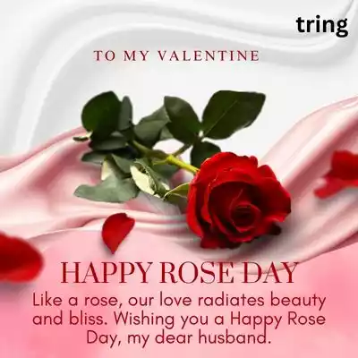 rose day wishes for husband (5).jpg rose day wishes for husband (5).jpg