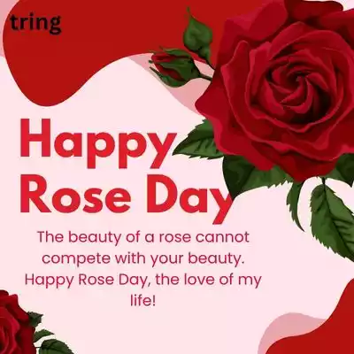 rose day wishes for boyfriend (5).jpg
