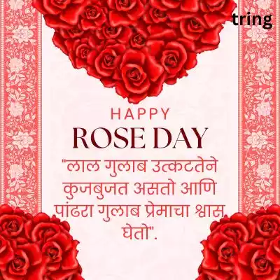 rose day quotes in marathi (6).jpg