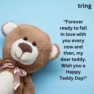 teddy day wishes for husband(1).jpg teddy day wishes for husband(1).jpg