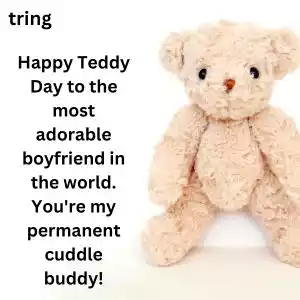 teddy day wishes for boyfriend (4).jpg teddy day wishes for boyfriend (4).jpg