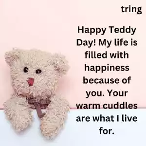 teddy day wishes for boyfriend (7).jpg teddy day wishes for boyfriend (7).jpg