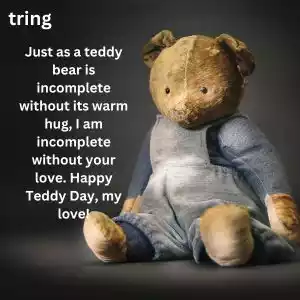 teddy day wishes for boyfriend (8).jpg teddy day wishes for boyfriend (8).jpg