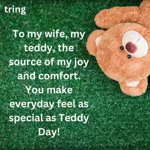 teddy day quotes for wife (2).jpg teddy day quotes for wife (2).jpg