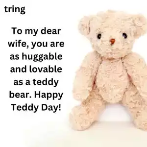 teddy day quotes for wife (4).jpg teddy day quotes for wife (4).jpg