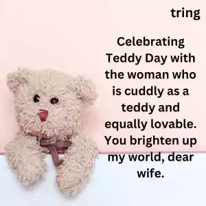 teddy day quotes for wife (7).jpg teddy day quotes for wife (7).jpg