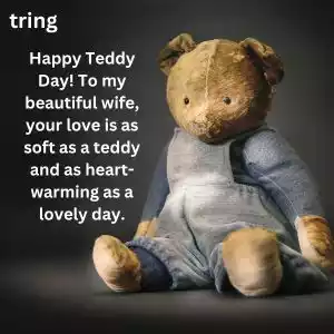 teddy day quotes for wife (8).jpg teddy day quotes for wife (8).jpg