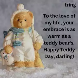 teddy day quotes for wife (9).jpg teddy day quotes for wife (9).jpg