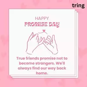 promise day quotes for friends (8).jpg