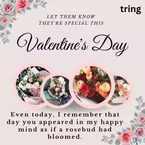 valentine day wishes for girlfriend (3).jpg valentine day wishes for girlfriend (3).jpg
