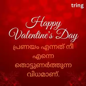 valentines day quotes in malayalam (6).jpg valentines day quotes in malayalam (6).jpg