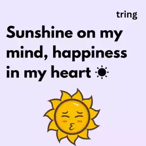 Sun Kissed Captions For Instagram sun-kissed-captions-for-instagram