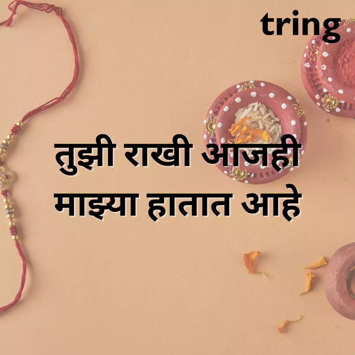 emotional-raksha-bandhan-captions-in-marathi