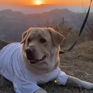 Labra-Rubi Labra-Rubi