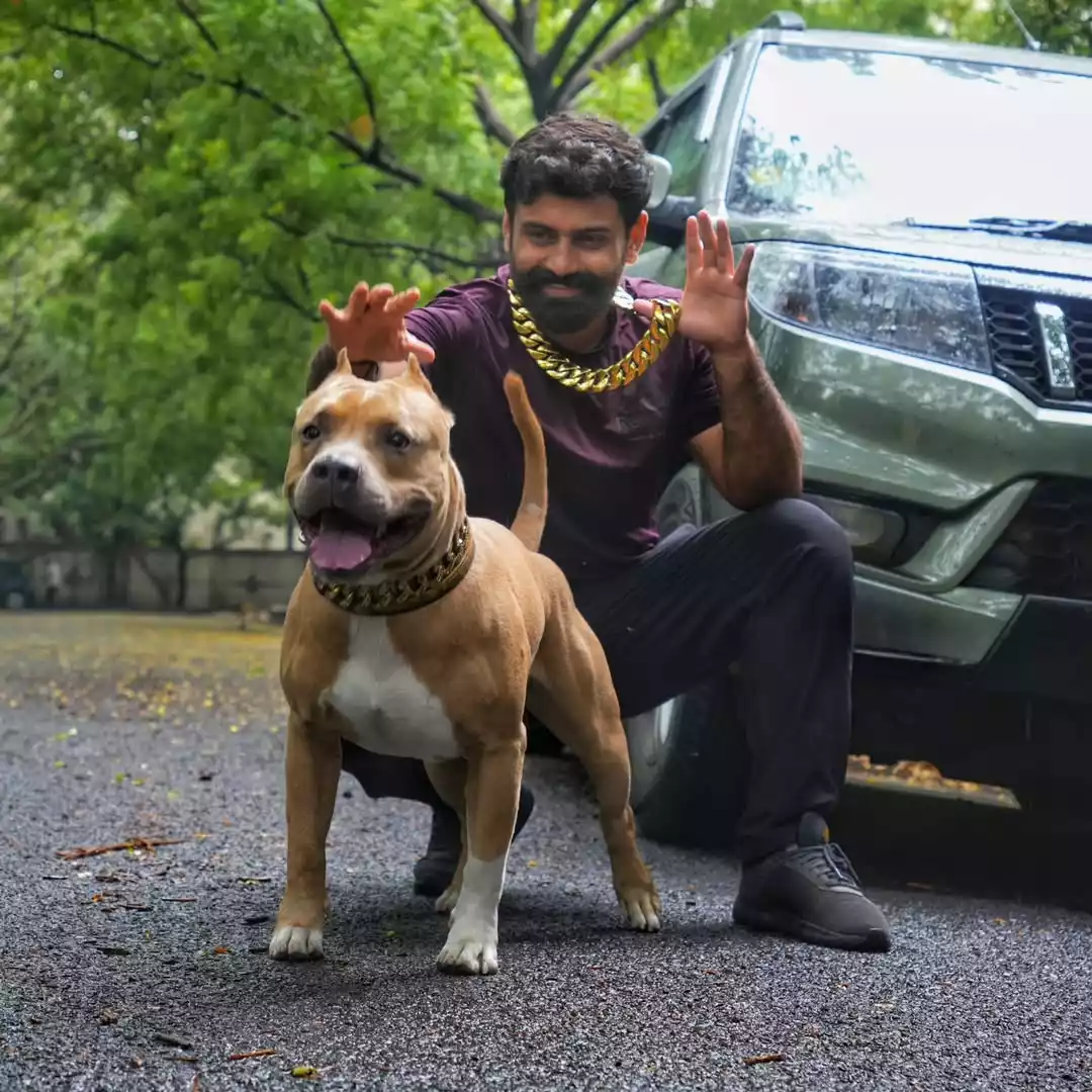 Aman-Bhardwaj-Bully Aman-Bhardwaj-Bully