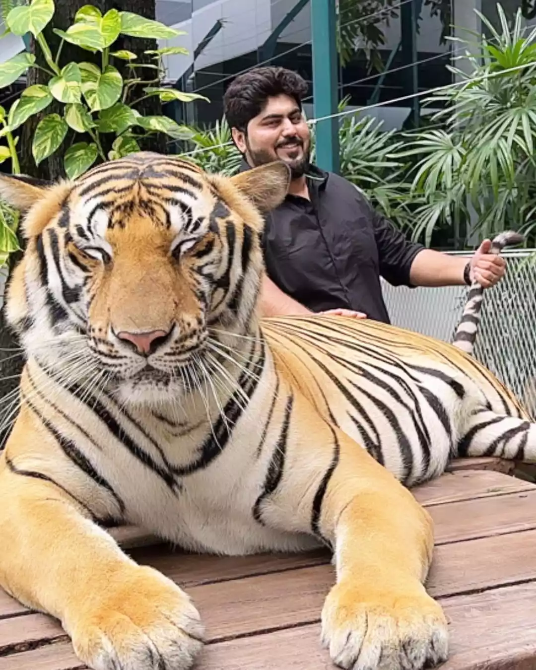 Aditya-Modak Aditya-Modak