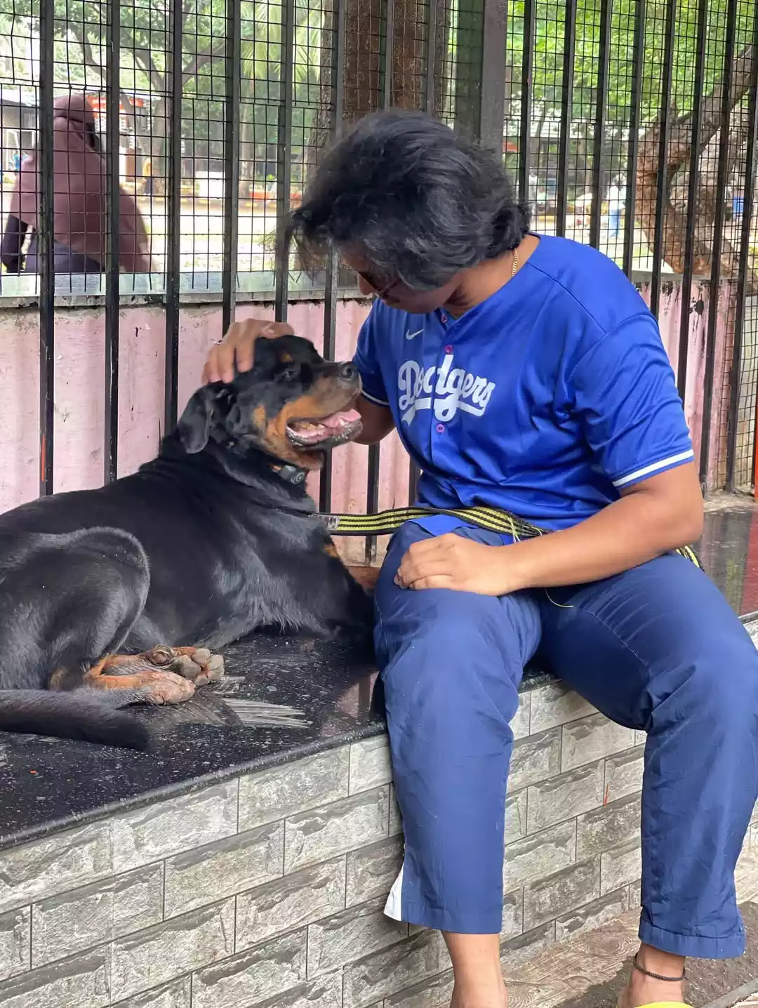 Aniket-Mayekar Aniket-Mayekar