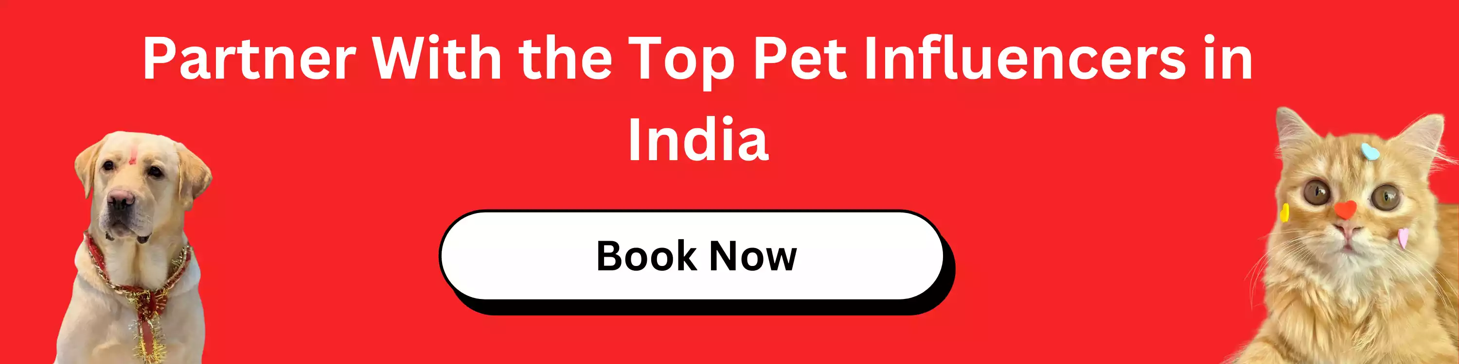 Partner With the Top Pet Influencers in India