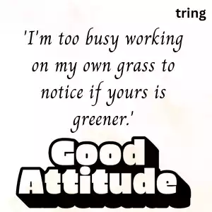 Best Attitude Captions For Instagram Best Attitude Captions For Instagram