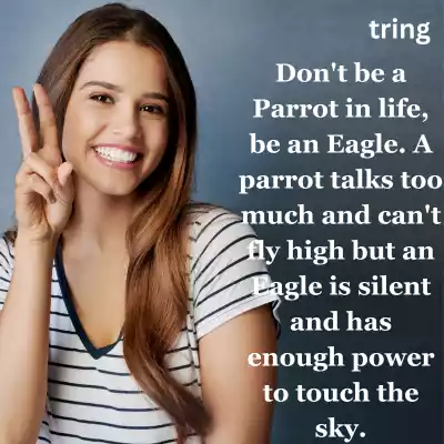 Best Attitude Captions Images