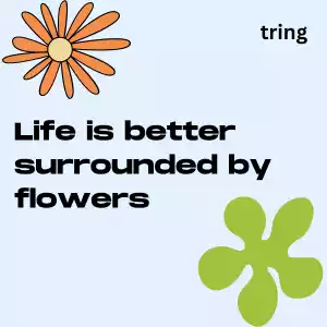 Romantic Flower Captions romantic-flower-captions