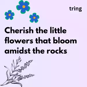 Aesthetic Flower Captions aesthetic-flower-captions