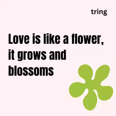 Short Flower Captions short-flower-captions