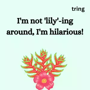 Funny Flower Captions funny-flower-captions