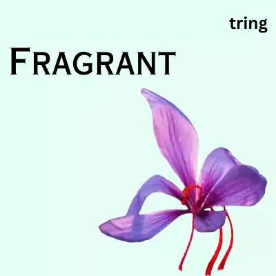 One Word Flower Captions one-word-flower-captions