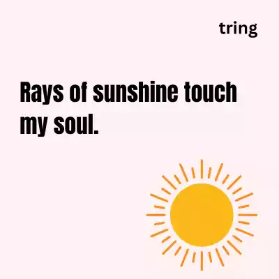 Sunshine Captions For Instagram sunshine-captions-for-instagram