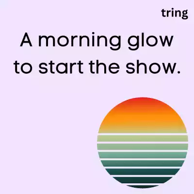 Morning Sunshine Captions For Instagram morning-sunshine-captions-for-instagram