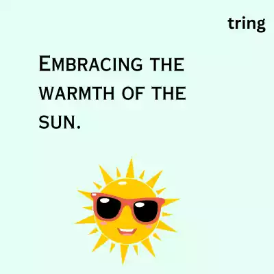 Winter Sunshine Captions For Instagram winter-sunshine-captions-for-instagram